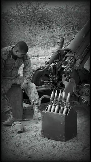 monkeys using guns and cannons in army