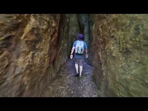 VLOG 21 (Twin Falls + Natural Bridge + Best Lookout) Springbrook National Park FULL VIDEO