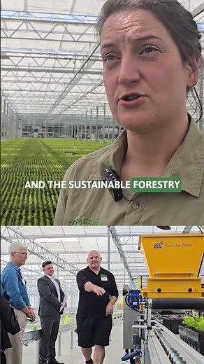 The new tree nursery that could grow 19 MILLION trees each year