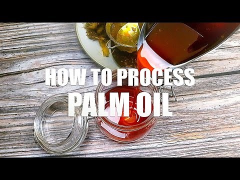 Palm Oil Production || How To Produce Red Palm Oil from Palm Kernels