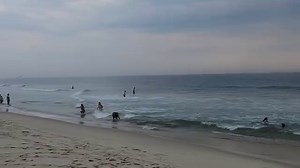 Good morning from IBSP... Saturday, August 12th. Air temp: 72 degrees Water temp: 72 degrees Winds: SSW 7 m.p.h. High tide: 5:52 p.m. Low tide: 11:30 a.m. Flags: Green over Green Some flies on the beach | Island Beach State Park