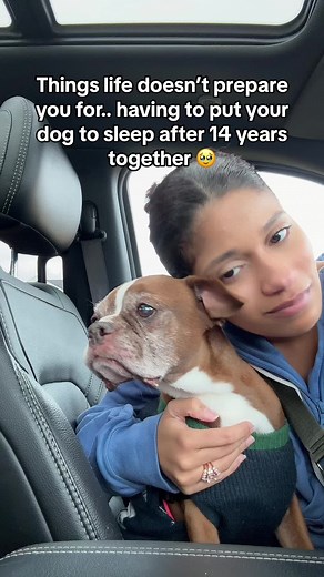 Dealing with Putting Your Dog to Sleep After 14 Years Together