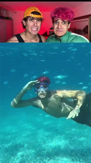 I'm going to look for sharks at the beach! 😰