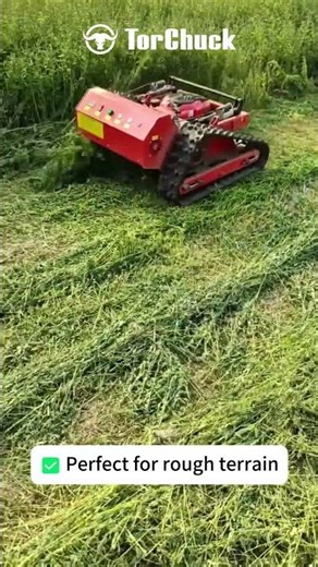 The Remote-Control Track Mower: Mow Steep Slopes & Large Lawns Hands-Free!