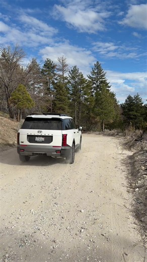 First family trip was a success in the Hyundai Palisade XRT Pro! Being a #hyundaipartner keeps it easy. We’ll be here 🫡 #hyundaipalisade