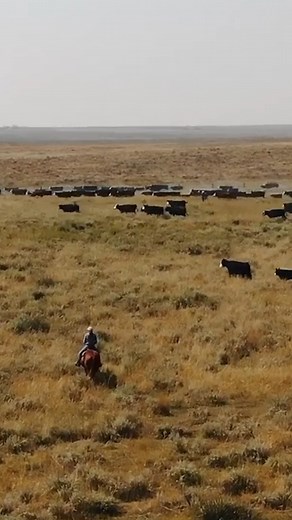 Choosing Ritchie means conserving water, protecting the land and reducing energy usage to promote a healthier environment for generations to come. | Ritchie Automatic Waterers