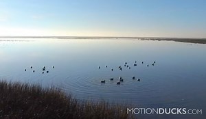 1.1M views · 5K reactions | Get Your Motion Ducks Spreader Today! Use the code FREEBAG17 to grab yourself a FREE Anchor Bag with your Spreader Purchase. Limited time. shop.MotionDucks.com | Motion Ducks | Facebook