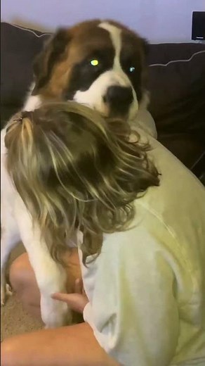 My dog broke the internet ! 400 Million Views !