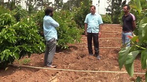 424K views · 7.5K reactions | Interesting facts about Butter fruit and vanilla farming & Micro Sprinklers Keep watching our page for more important tips for life Contact details shireen rangaswamy s/o m c rangaswamy know more about us by clicking on this link https://www.youtube.com/watch?v=0RUlISLG2Lw&t=19s | My Nature India Foundation | Facebook