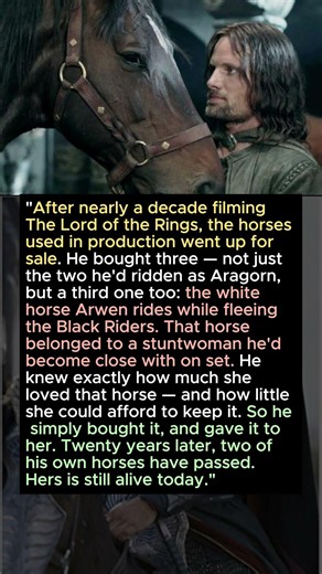 "A Stuntwoman Couldn't Afford Her Own Horse — He Quietly Bought It For Her Instead"