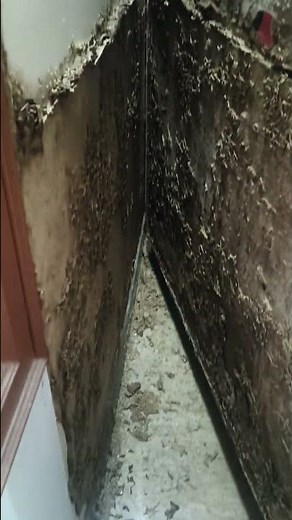 yuvas pest control service termite treatment drilling and injection 9750755910