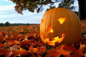 A guide to composting your pumpkins