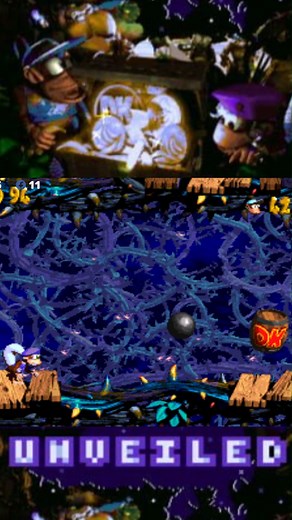 Vine Climb ~ Donkey Kong Country 2 Unveiled | Professor Sport Mode