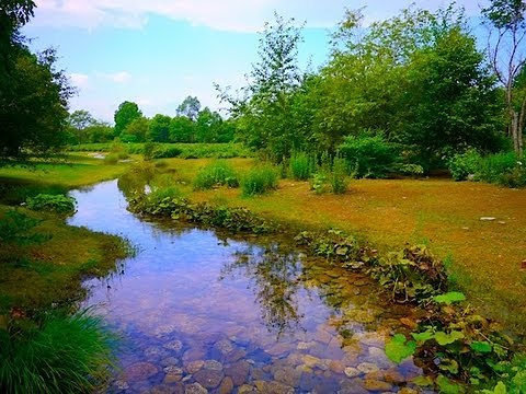 ［HD］六花の森 北海道ガーデン街道 Rokka forest 花の名所案内