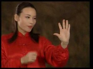 Ba Gua Zhang (sports complex; explanation of technique)