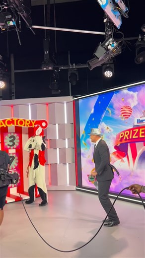 4.4K views · 167 reactions | Anyone know what got into cash cow and Shirvo this morning? @harveynormanau Prize Factory 朗 #cashcow #shirvo #sunriseon7 #pricefactory #harveynorman | Sunrise | Facebook