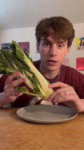 Bok Choy Food Challenge: Bitter Leaves & Bugs
