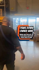 Polite greetings start with clarity: helping your dog understand what to do the moment someone walks in. 🐕 When you guide them into a Sit, reward their focus, and practice in different environments, they begin to greet people with confidence and steadiness instead of impulse. Here’s what effective greeting training builds: ✓ Better impulse control ✓ A calmer state of mind ✓ Smooth interactions with guests ✓ Reliable behavior in new or busy environments As your dog learns to stay grounded around