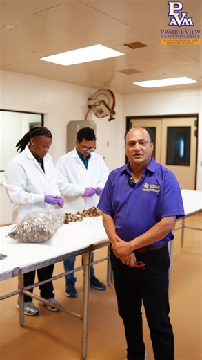Powering Progress in Poultry Science at PVAMU �Housed within the College of Agriculture, the Poultry Center at Prairie View A&M University plays a vital role in supporting the college’s academic, research, and extension programs. Equipped with specialized labs, a processing facility, and barns for layers, broilers, and turkeys, the center advances research in poultry nutrition, sustainable feed additives, and innovative farming practices. Through hands-on student training and forward-thinking re