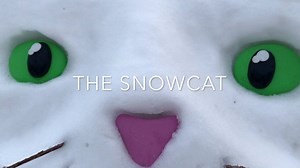 22K views · 1.9K reactions | Here is Monty’s reaction to meeting his snowcat! We had no idea he would react like this!  | Monty | Facebook