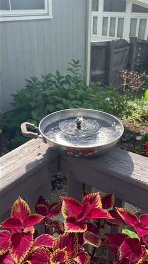 DIY Bird Fountain