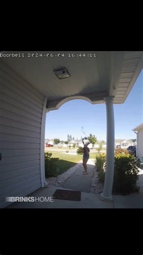 1.8K views · 15 reactions | Not to ruffle feathers, but we can’t protect against everything. Robbers? Yes. Robins? Not so much. | Brinks Home | Facebook