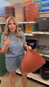 1K views | Dollar Tree Planters #dollartree | Lizfanwick DIY | Facebook