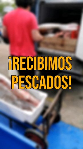 7.9K reactions · 221 shares | ¡Recibimos variedad de pescados! 朗 Su consulta no molesta  | Pescados Paraná | Facebook