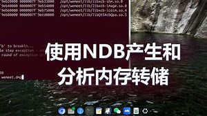 使用NDB产生和分析NDB内存转储