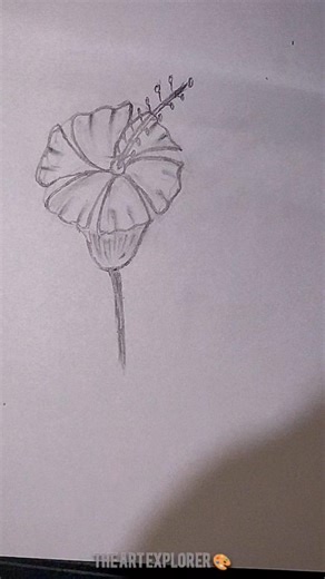 Easy hibiscus flower drawing tutorial for beginners🌺#artforbeginners #tutorial #beginnerarttips #art