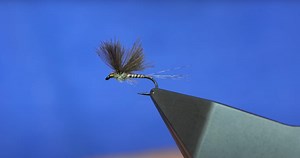 "Is This The Best Style of Wing for a CDC Dry Fly? - Fly Tying Tutorial (Baetis)" | MidCurrent