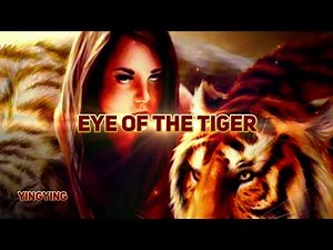 Eye of the Tiger 猛虎之眼 / Survivor [ 中英歌詞 ]