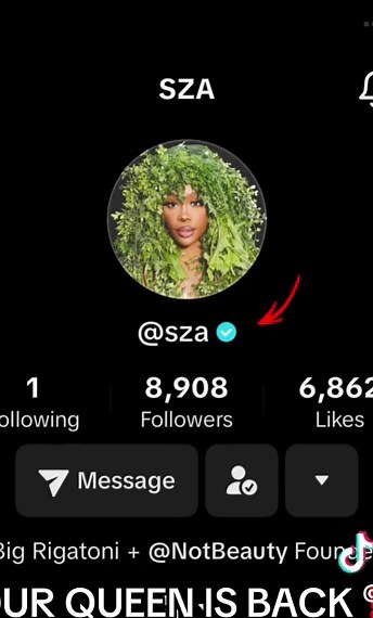 SZA: Our Queen is Back on TikTok! 🥹