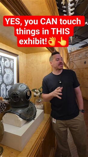 YES. You CAN touch EVERYTHING in this exhibit at the Houston Museum of Natural Science 👆♥️