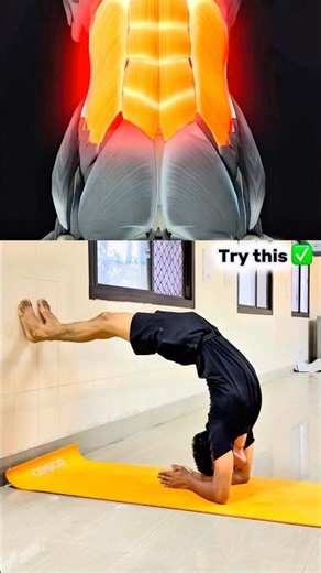 Wall-assisted bridge restores spinal extension opens, chest and hips, and activates the back. ✅🧘‍♀️