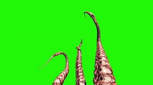 4 Tentacles Monster Octopus Green Screen Stock Footage Video (100% Royalty-free) 25927247 | Shutterstock