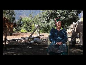 Dried Pears - A healthy ready to serve snack from the Himalayas