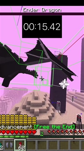 New Speedrun world record 1.21.11