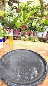 11K views · 57 reactions | Trimming Bougainvillea leaves, or pruning, is beneficial for maintaining the plant's shape, encouraging bushier growth, and promoting more abundant blooms. Mamalyn's Garden #bougainvillea #leaves #trimming #pruning #Homegardening #gardening #houseplants #happygardening #plantcare #mamalynsgarden | Mamalyn's Garden | Facebook