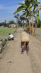 16K views · 64 reactions | Cows cause trouble when crossing the road. #funny | Turkish Girls Zehra Gunes | Facebook