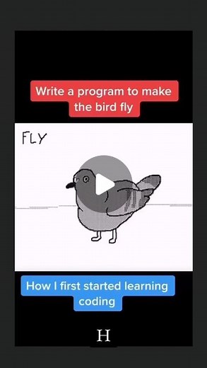 Programming Memes | 😂😂😂 Credit: @coderspeed Follow @coding_comedy for more! - - - #programming #program #coding #code #programmingmemes #css #webdev... | Instagram