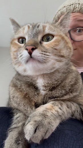 Mom & Yaga🐈💖 . Soft, squishy, Yaggs~ hehe . While Yaga is a bit more independent than Baba, when she cuddles -she cuddles! She’s a true love bug, the best reading companion, and the SOFTEST lil’ bunny around~💖💖 . . Yaggs!! . . . . . #cat #cats #catsofinstagram #catsoninstagram #catagram #catlover #catlife #cutecat #catscatscats #catmom #rescuecat #torbie #catlife #yaga #babayaga | BabaYaga Cat