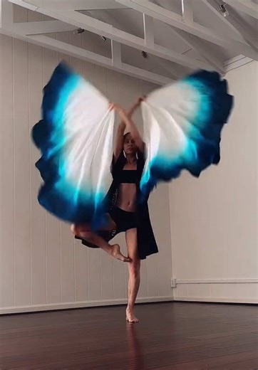 Join the Flag Wings Course for Artistic Mastery