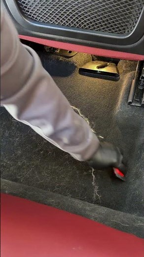 This Tool Is the Fastest Way to Remove Pet Hair | Dog Hair Gone from Car Carpet in Seconds