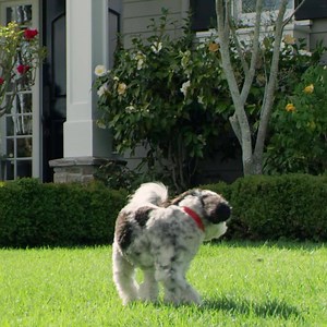 2M views | Low down payment options | Wells Fargo | Facebook