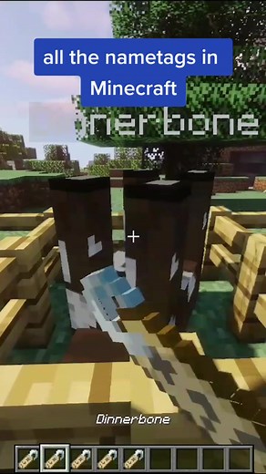 All the nametags in Minecraft #dinnerbone #minecraft #nametagminecraft #grumm