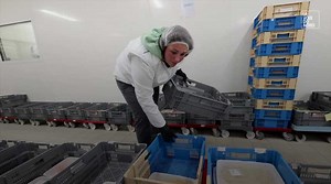 Dans les coulisses de la cuisine centrale du Béthunois