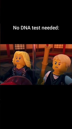 Do u think we will see them together? #ninjago #legoninjago