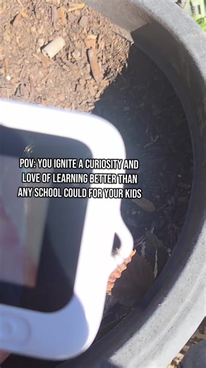 Kids microscope — POV you ignite a curiosity and passion for learning better than any school could for your kid. When you hand them something that turns everyday life into a science experiment, you don’t just entertain them… you grow them. This little microscope keeps their hands busy, their mind active, and their imagination running wild. If you want to raise a kid who asks better questions and loves discovering answers, this is the easiest place to start. #TikTokShop #giftideas #STEMlearning #