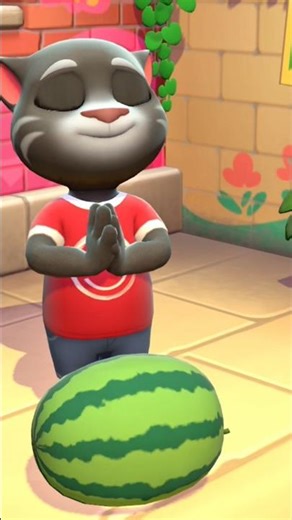 TALKING TOM WATERMELON 🍉 #funny #animation #memes #viral #gaming #tom #cartoon #youtube #talkingtom